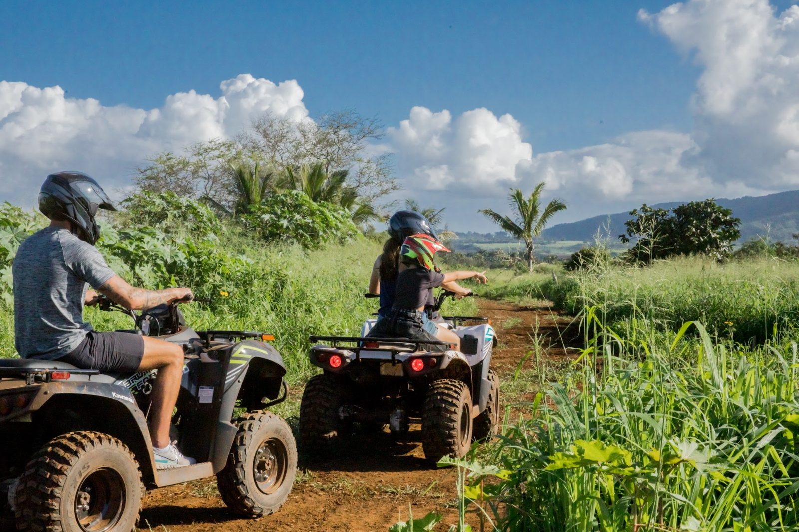 A guide showing a guest how to plant a native Hawaiian seedling in the restored dune
