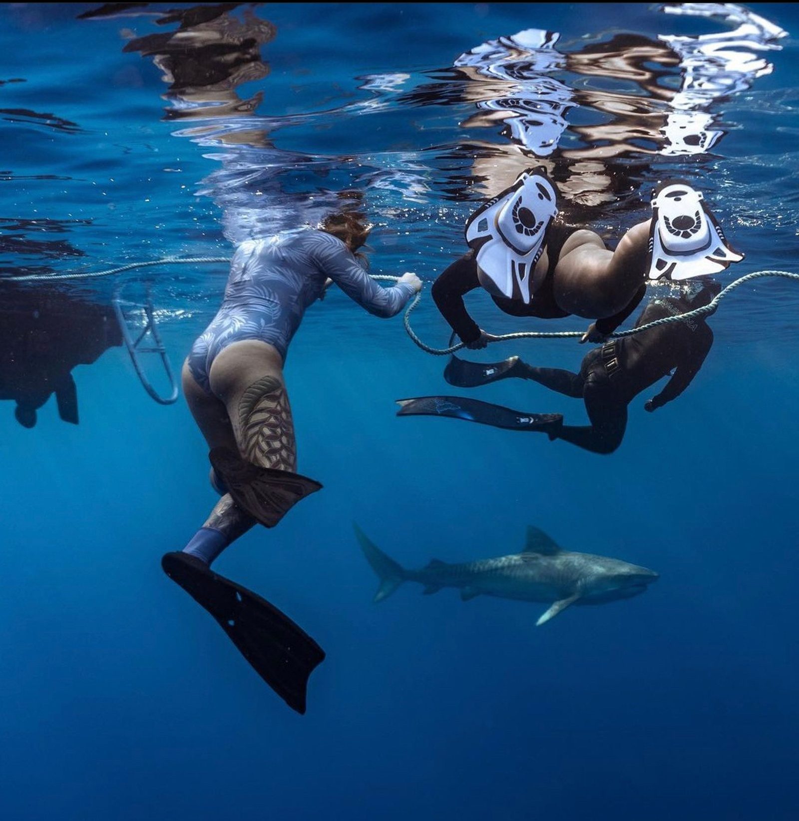 A guest in a mask and snorkel giving a thumbs up at the surface with a shark visible beneath